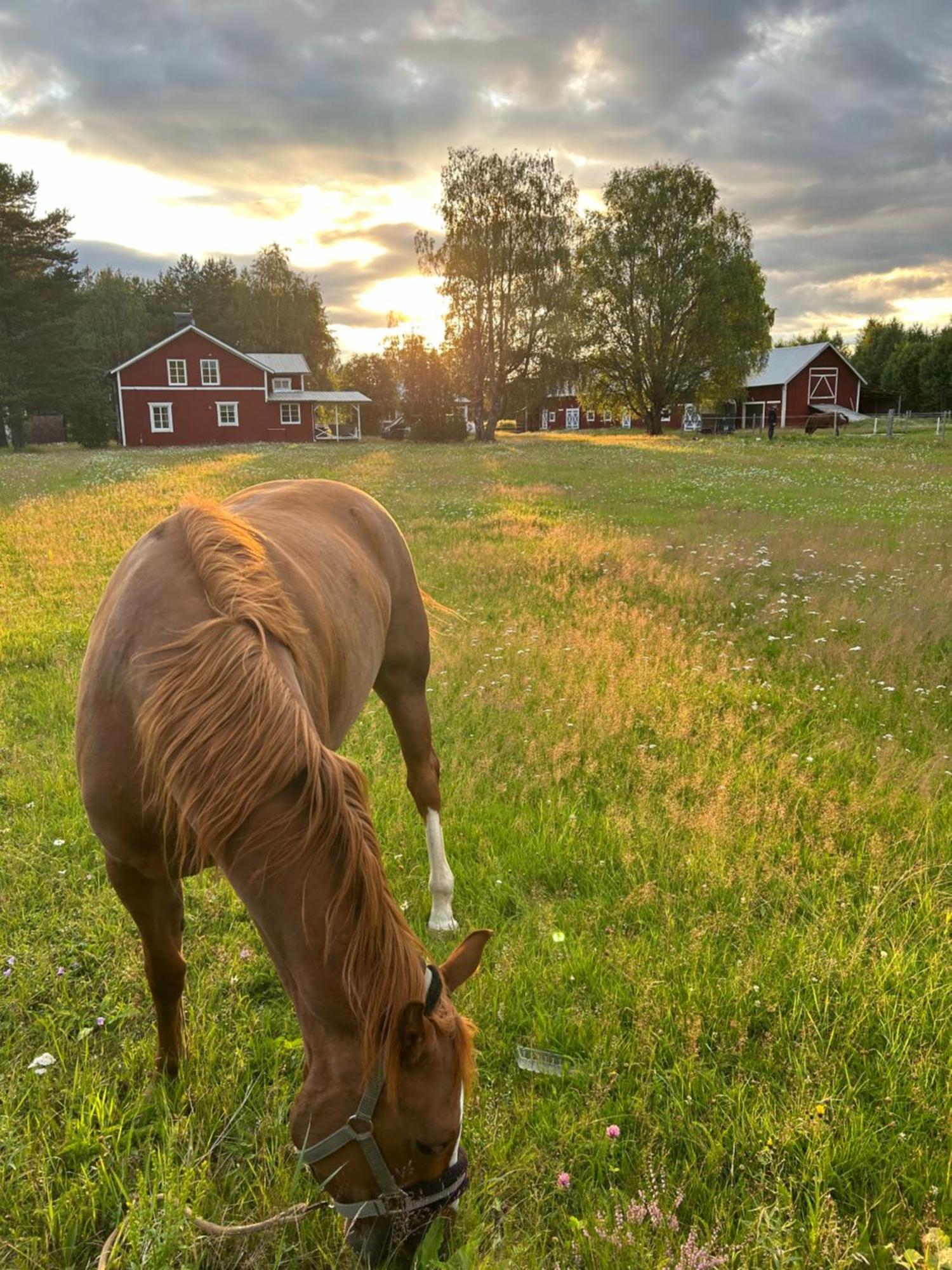Hus I Ljuset Villa Nasaker Luaran gambar